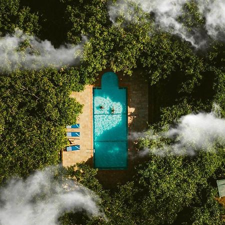 Selous Kinga Lodge Kwangwazi Exteriör bild