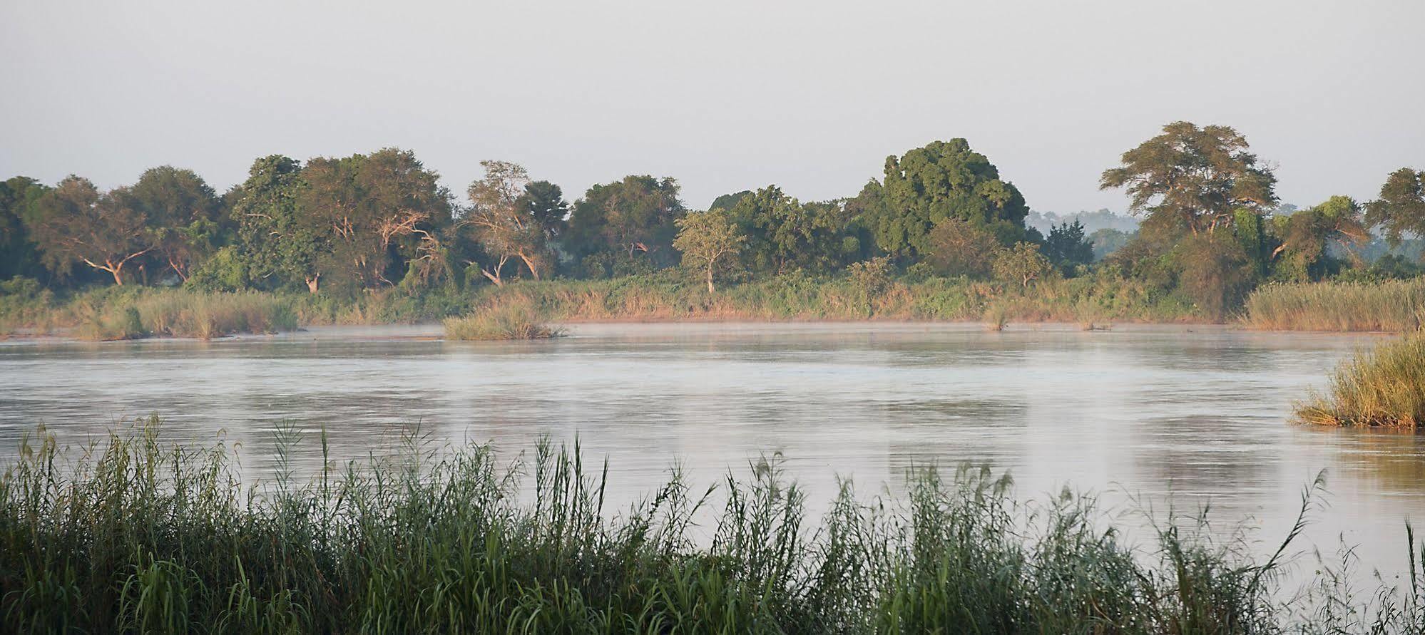 Selous Kinga Lodge Kwangwazi Exteriör bild