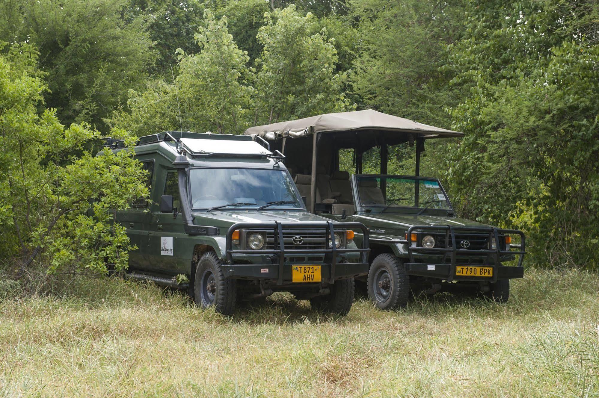 Selous Kinga Lodge Kwangwazi Exteriör bild